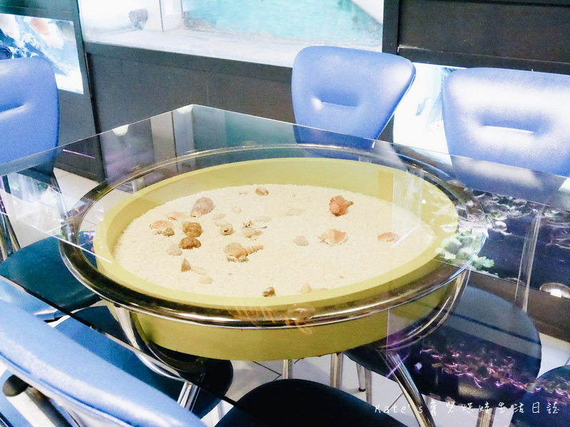 宜蘭 魚雅築親子民宿 溜滑梯親子民宿 魚窩B&B親子民宿包棟 魚雅築民宿評價 宜蘭民宿推薦 宜蘭親子民宿 宜蘭冬山民宿 哈旅行宜蘭包車旅遊68.jpg