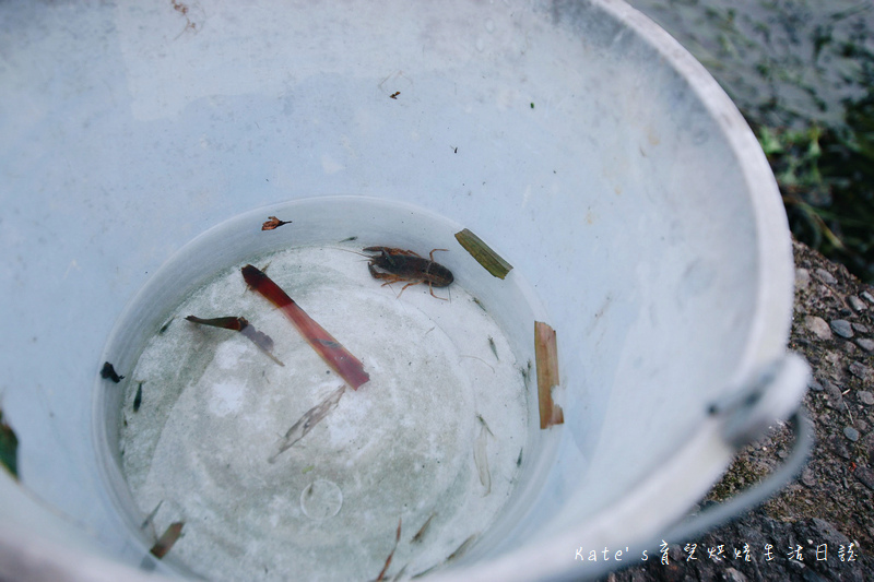 宜蘭 魚雅築親子民宿 溜滑梯親子民宿 魚窩B&B親子民宿包棟 魚雅築民宿評價 宜蘭民宿推薦 宜蘭親子民宿 宜蘭冬山民宿 哈旅行宜蘭包車旅遊77.jpg