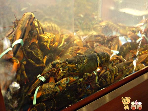 【台中易鼎活蝦】蝦子龍蝦吃到爽-人間美味龍蝦膏