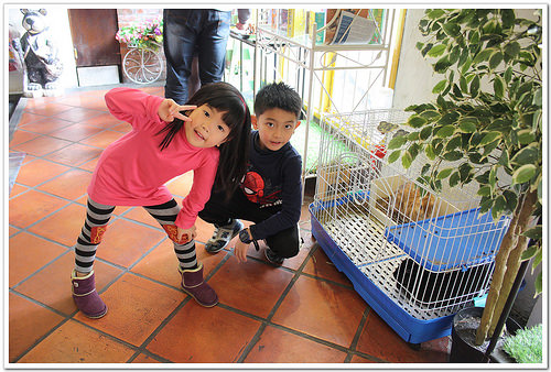 【台中食記】西屯區‧聖彼得堡遊戲主題餐廳~大人小孩都有得玩