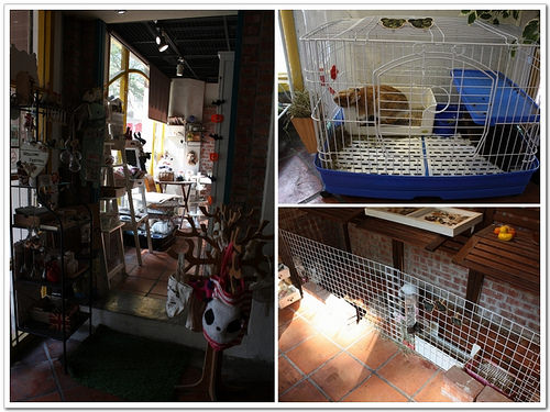 【台中食記】西屯區‧聖彼得堡遊戲主題餐廳~大人小孩都有得玩