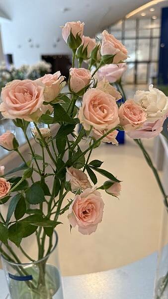 IMG_6422 (1).jpg