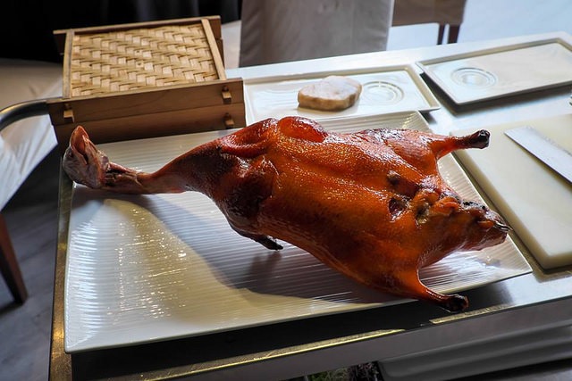 20881942_1541113842576263_761409042846891540_n