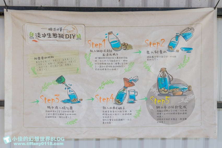 [宜蘭員山景點]跟團可以這樣玩/勝洋休閒農場+可達休閒羊場/生態瓶+水草麵條DIY/餵羊餵兔子還有好多可愛小動物