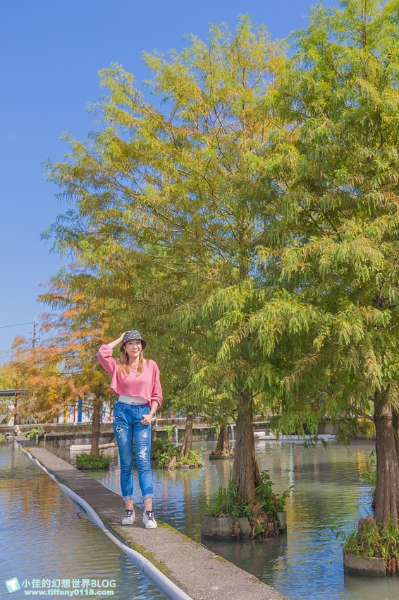 [宜蘭員山景點]跟團可以這樣玩/勝洋休閒農場+可達休閒羊場/生態瓶+水草麵條DIY/餵羊餵兔子還有好多可愛小動物