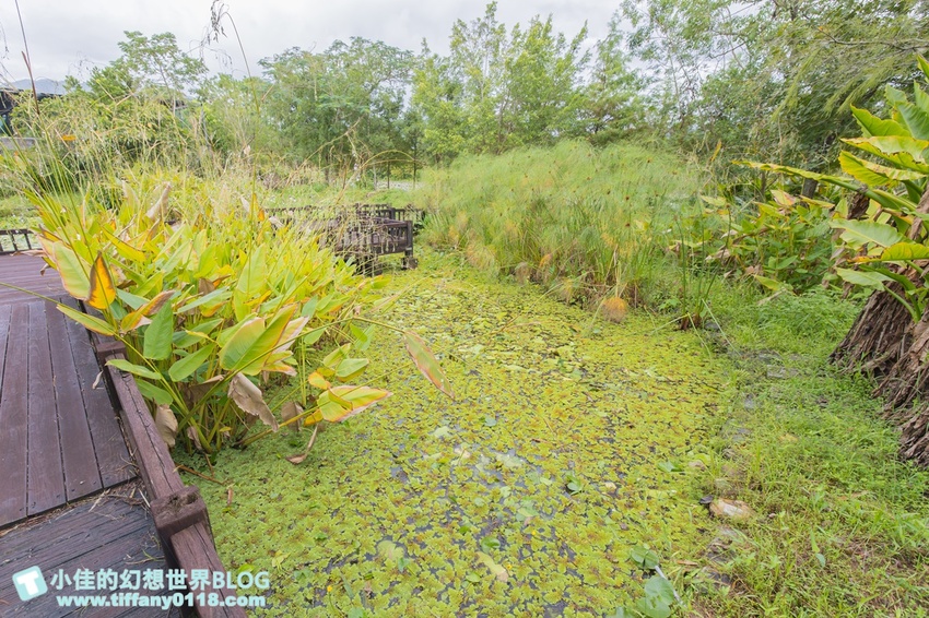 [宜蘭員山景點]跟團可以這樣玩/勝洋休閒農場+可達休閒羊場/生態瓶+水草麵條DIY/餵羊餵兔子還有好多可愛小動物