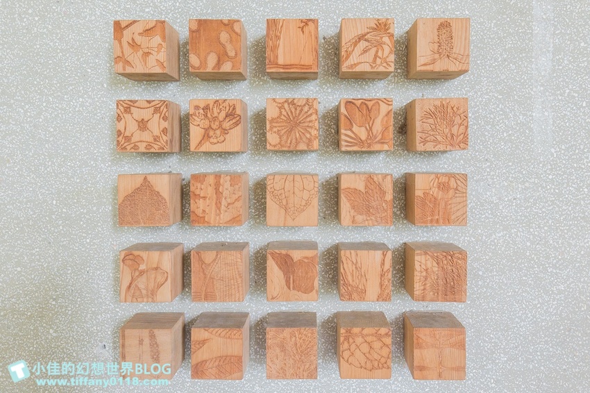 [宜蘭員山景點]跟團可以這樣玩/勝洋休閒農場+可達休閒羊場/生態瓶+水草麵條DIY/餵羊餵兔子還有好多可愛小動物