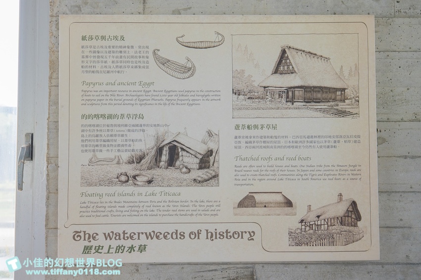 [宜蘭員山景點]跟團可以這樣玩/勝洋休閒農場+可達休閒羊場/生態瓶+水草麵條DIY/餵羊餵兔子還有好多可愛小動物