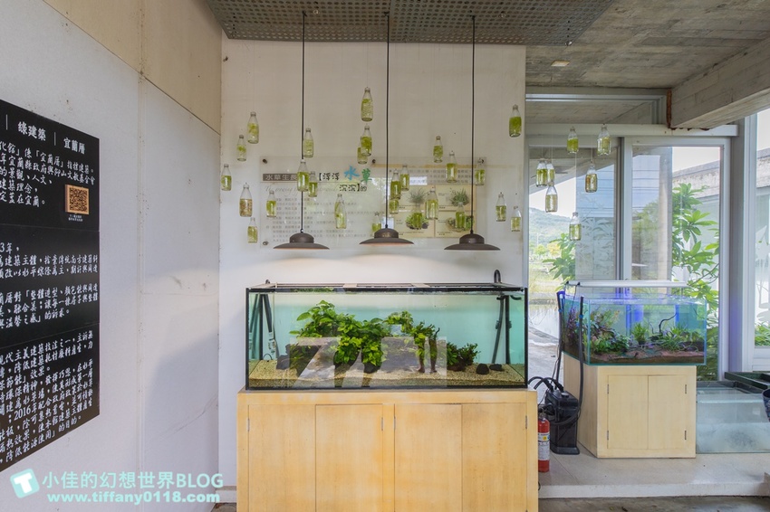 [宜蘭員山景點]跟團可以這樣玩/勝洋休閒農場+可達休閒羊場/生態瓶+水草麵條DIY/餵羊餵兔子還有好多可愛小動物