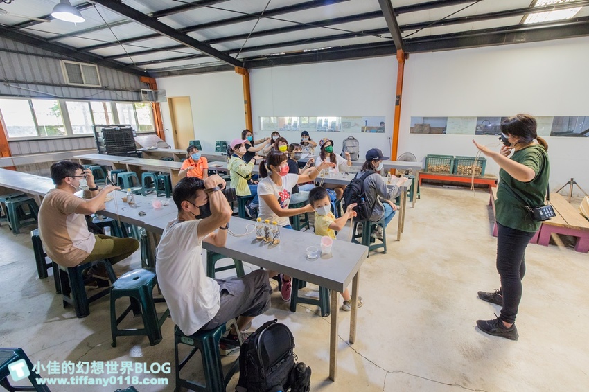 [宜蘭員山景點]跟團可以這樣玩/勝洋休閒農場+可達休閒羊場/生態瓶+水草麵條DIY/餵羊餵兔子還有好多可愛小動物