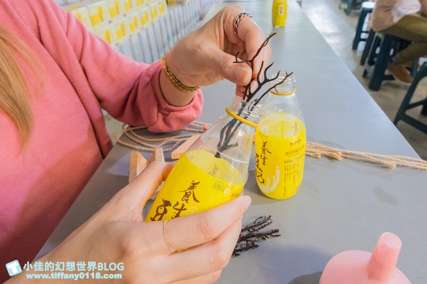 [宜蘭員山景點]跟團可以這樣玩/勝洋休閒農場+可達休閒羊場/生態瓶+水草麵條DIY/餵羊餵兔子還有好多可愛小動物