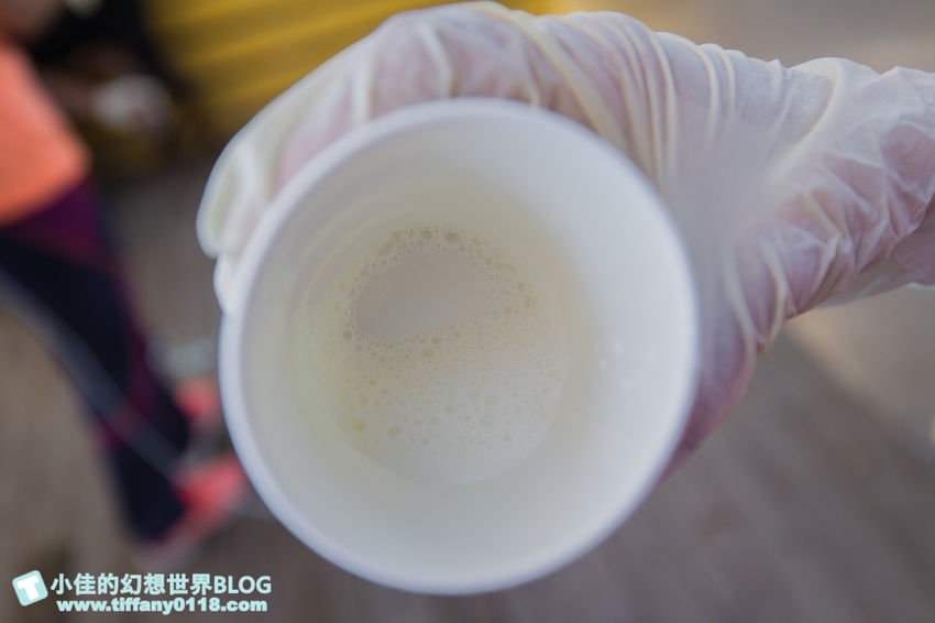 [宜蘭員山景點]跟團可以這樣玩/勝洋休閒農場+可達休閒羊場/生態瓶+水草麵條DIY/餵羊餵兔子還有好多可愛小動物