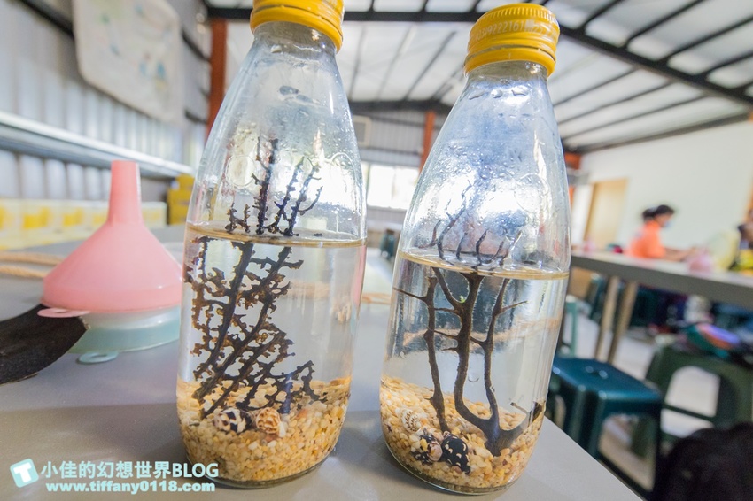 [宜蘭員山景點]跟團可以這樣玩/勝洋休閒農場+可達休閒羊場/生態瓶+水草麵條DIY/餵羊餵兔子還有好多可愛小動物