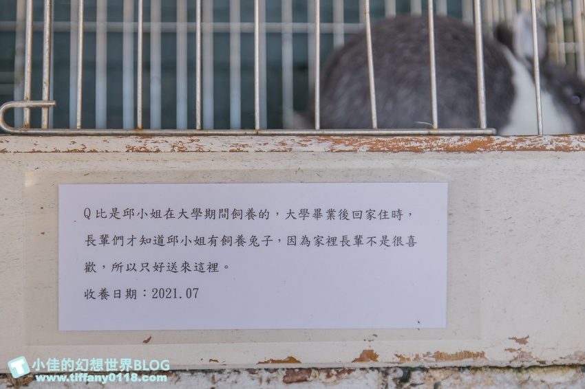 [宜蘭員山景點]跟團可以這樣玩/勝洋休閒農場+可達休閒羊場/生態瓶+水草麵條DIY/餵羊餵兔子還有好多可愛小動物