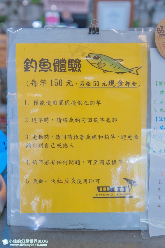 [宜蘭員山景點]跟團可以這樣玩/勝洋休閒農場+可達休閒羊場/生態瓶+水草麵條DIY/餵羊餵兔子還有好多可愛小動物