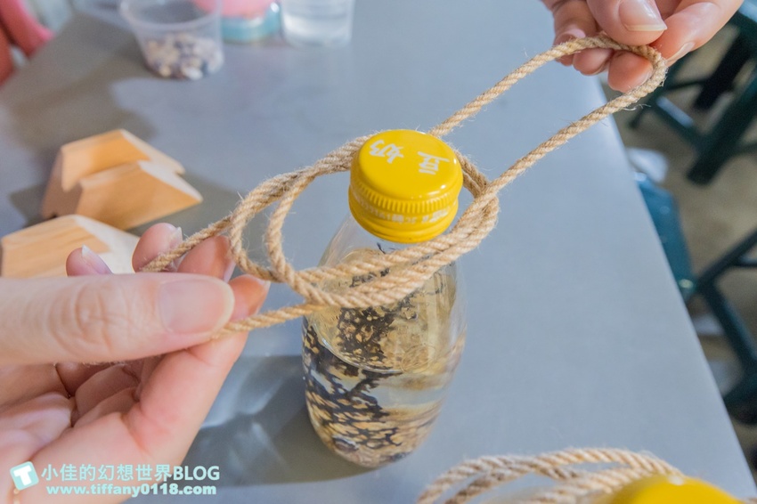 [宜蘭員山景點]跟團可以這樣玩/勝洋休閒農場+可達休閒羊場/生態瓶+水草麵條DIY/餵羊餵兔子還有好多可愛小動物