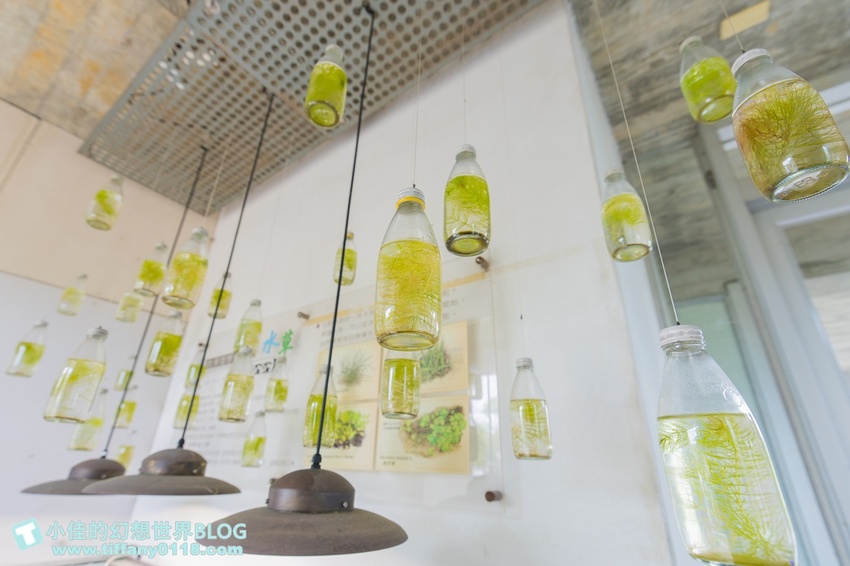 [宜蘭員山景點]跟團可以這樣玩/勝洋休閒農場+可達休閒羊場/生態瓶+水草麵條DIY/餵羊餵兔子還有好多可愛小動物