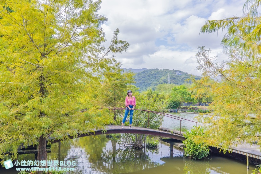 [宜蘭員山景點]跟團可以這樣玩/勝洋休閒農場+可達休閒羊場/生態瓶+水草麵條DIY/餵羊餵兔子還有好多可愛小動物