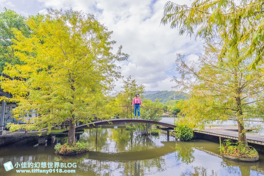 [宜蘭員山景點]跟團可以這樣玩/勝洋休閒農場+可達休閒羊場/生態瓶+水草麵條DIY/餵羊餵兔子還有好多可愛小動物