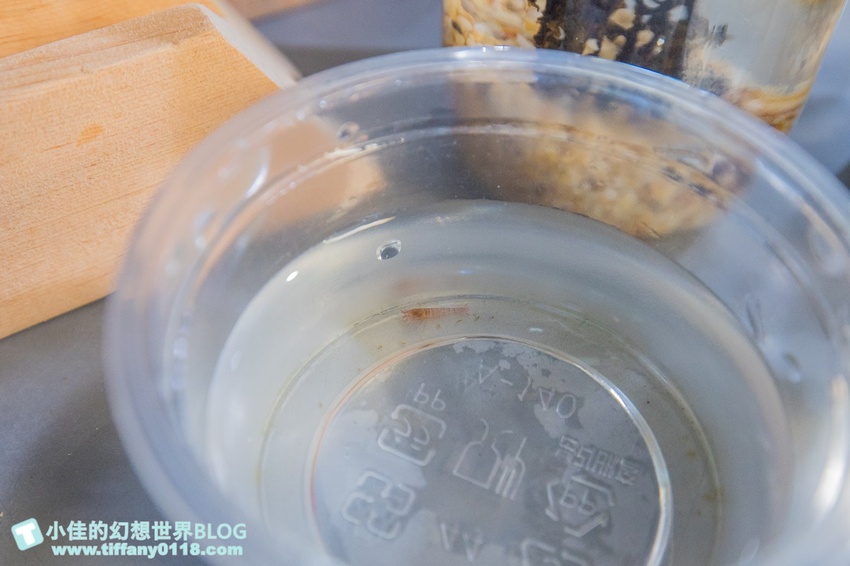 [宜蘭員山景點]跟團可以這樣玩/勝洋休閒農場+可達休閒羊場/生態瓶+水草麵條DIY/餵羊餵兔子還有好多可愛小動物