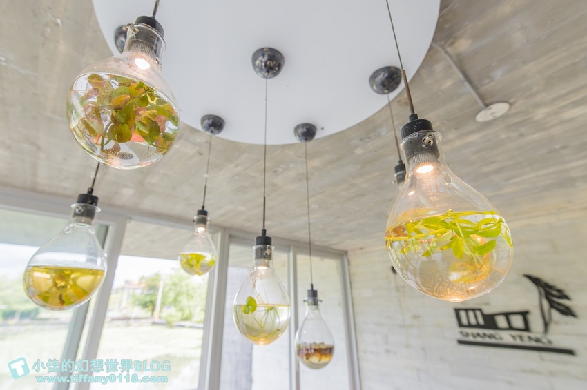 [宜蘭員山景點]跟團可以這樣玩/勝洋休閒農場+可達休閒羊場/生態瓶+水草麵條DIY/餵羊餵兔子還有好多可愛小動物