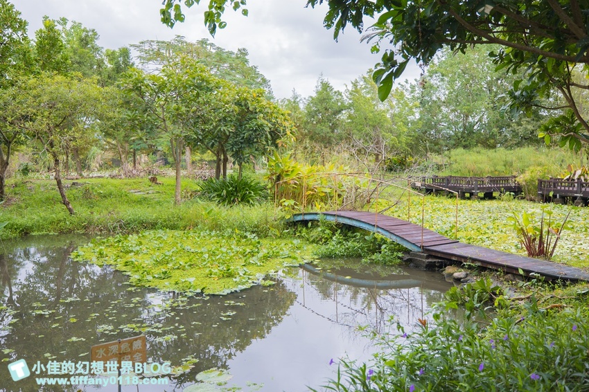 [宜蘭員山景點]跟團可以這樣玩/勝洋休閒農場+可達休閒羊場/生態瓶+水草麵條DIY/餵羊餵兔子還有好多可愛小動物