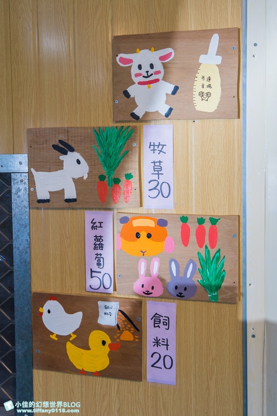 [宜蘭員山景點]跟團可以這樣玩/勝洋休閒農場+可達休閒羊場/生態瓶+水草麵條DIY/餵羊餵兔子還有好多可愛小動物