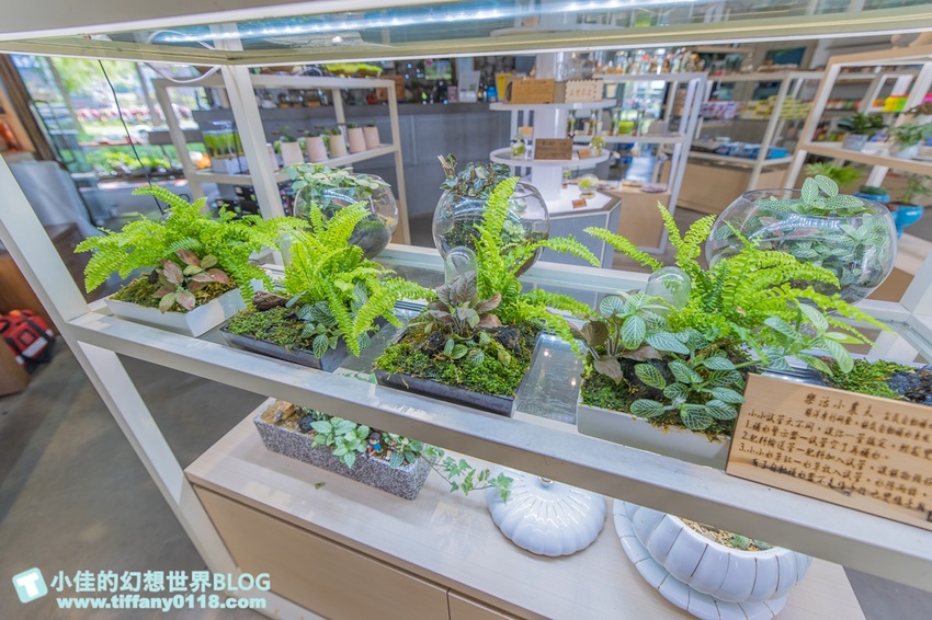 [宜蘭員山景點]跟團可以這樣玩/勝洋休閒農場+可達休閒羊場/生態瓶+水草麵條DIY/餵羊餵兔子還有好多可愛小動物