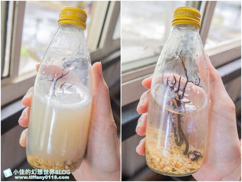 [宜蘭員山景點]跟團可以這樣玩/勝洋休閒農場+可達休閒羊場/生態瓶+水草麵條DIY/餵羊餵兔子還有好多可愛小動物