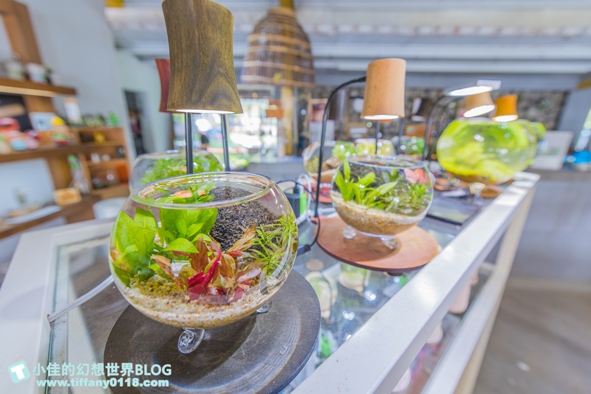 [宜蘭員山景點]跟團可以這樣玩/勝洋休閒農場+可達休閒羊場/生態瓶+水草麵條DIY/餵羊餵兔子還有好多可愛小動物