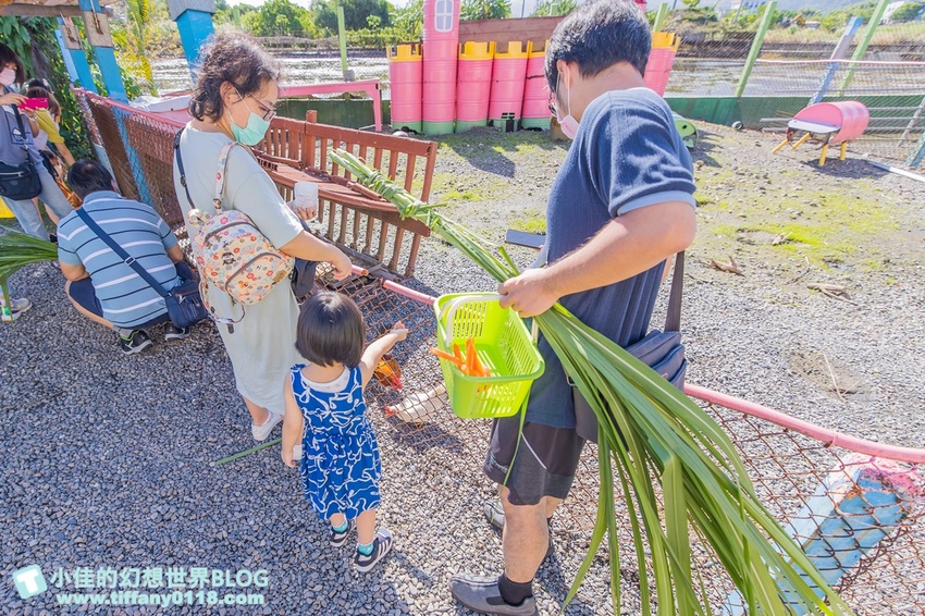 [宜蘭員山景點]跟團可以這樣玩/勝洋休閒農場+可達休閒羊場/生態瓶+水草麵條DIY/餵羊餵兔子還有好多可愛小動物