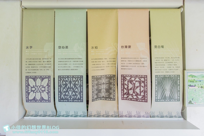 [宜蘭員山景點]跟團可以這樣玩/勝洋休閒農場+可達休閒羊場/生態瓶+水草麵條DIY/餵羊餵兔子還有好多可愛小動物