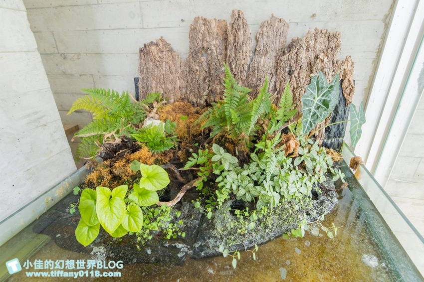 [宜蘭員山景點]跟團可以這樣玩/勝洋休閒農場+可達休閒羊場/生態瓶+水草麵條DIY/餵羊餵兔子還有好多可愛小動物