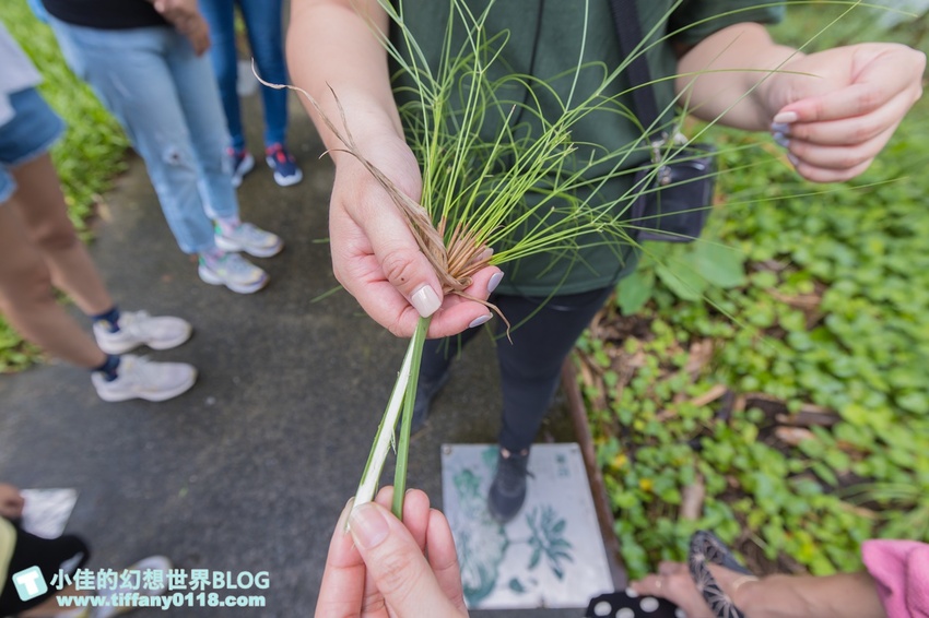 [宜蘭員山景點]跟團可以這樣玩/勝洋休閒農場+可達休閒羊場/生態瓶+水草麵條DIY/餵羊餵兔子還有好多可愛小動物