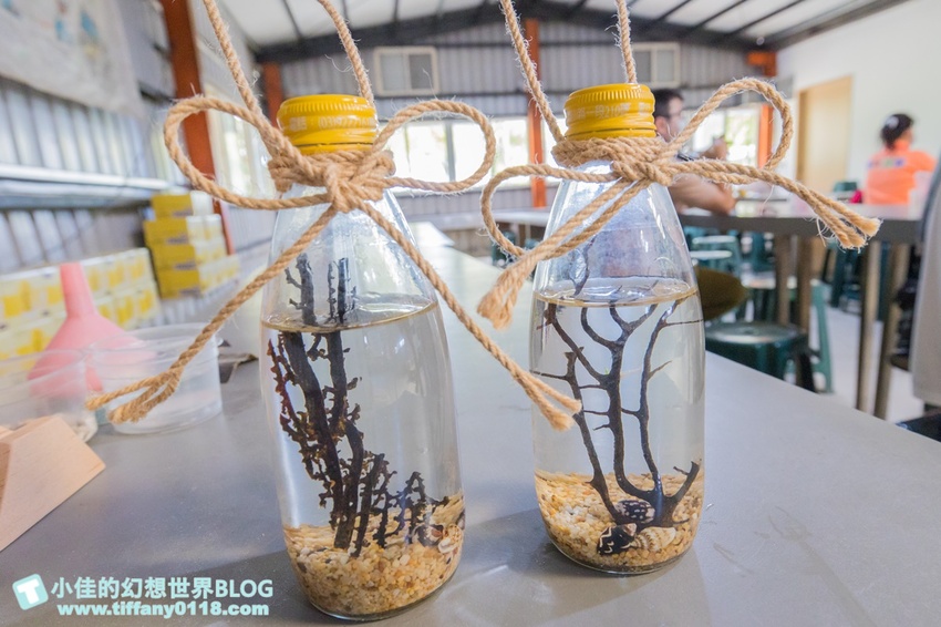 [宜蘭員山景點]跟團可以這樣玩/勝洋休閒農場+可達休閒羊場/生態瓶+水草麵條DIY/餵羊餵兔子還有好多可愛小動物