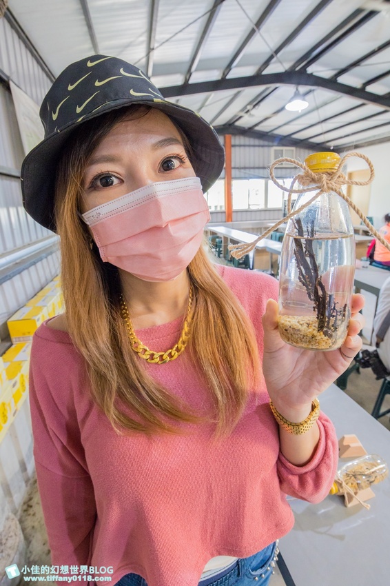 [宜蘭員山景點]跟團可以這樣玩/勝洋休閒農場+可達休閒羊場/生態瓶+水草麵條DIY/餵羊餵兔子還有好多可愛小動物