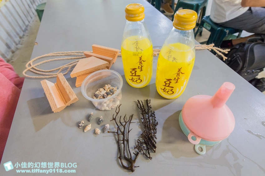 [宜蘭員山景點]跟團可以這樣玩/勝洋休閒農場+可達休閒羊場/生態瓶+水草麵條DIY/餵羊餵兔子還有好多可愛小動物