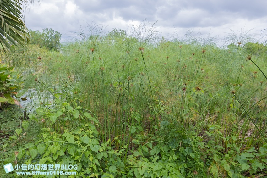 [宜蘭員山景點]跟團可以這樣玩/勝洋休閒農場+可達休閒羊場/生態瓶+水草麵條DIY/餵羊餵兔子還有好多可愛小動物