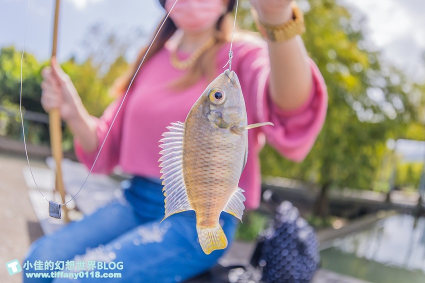 [宜蘭員山景點]跟團可以這樣玩/勝洋休閒農場+可達休閒羊場/生態瓶+水草麵條DIY/餵羊餵兔子還有好多可愛小動物