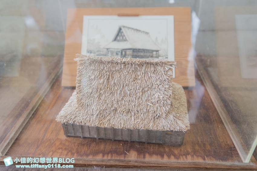 [宜蘭員山景點]跟團可以這樣玩/勝洋休閒農場+可達休閒羊場/生態瓶+水草麵條DIY/餵羊餵兔子還有好多可愛小動物