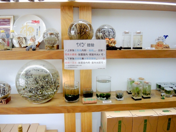 宜蘭員山)勝洋休閒農場- 來去宜蘭郊遊吧！(上)