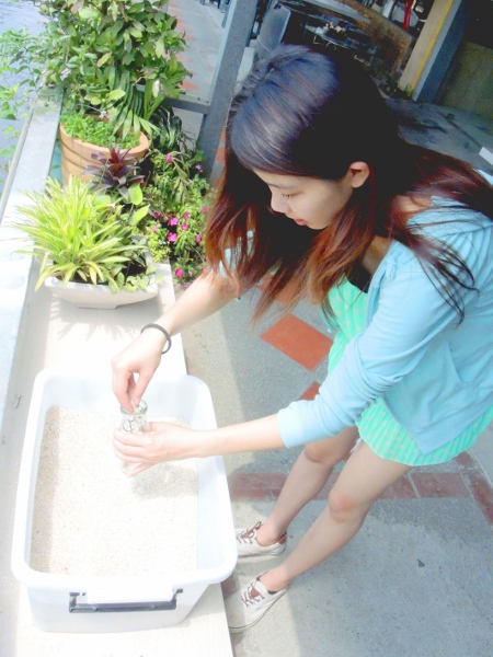 宜蘭員山)勝洋休閒農場- 來去宜蘭郊遊吧！(上)