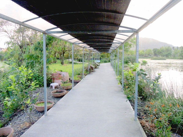 宜蘭員山)勝洋休閒農場- 來去宜蘭郊遊吧！(上)