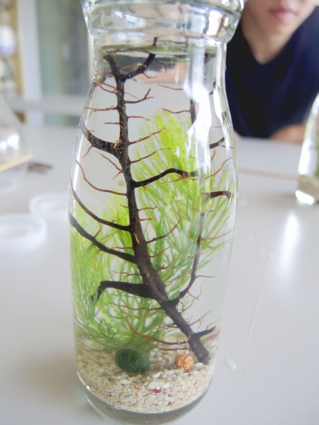 宜蘭員山)勝洋休閒農場- 來去宜蘭郊遊吧！(上)