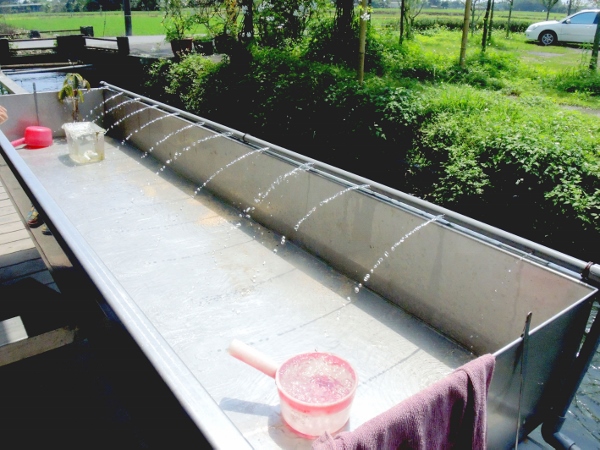 宜蘭員山)勝洋休閒農場- 來去宜蘭郊遊吧！(上)