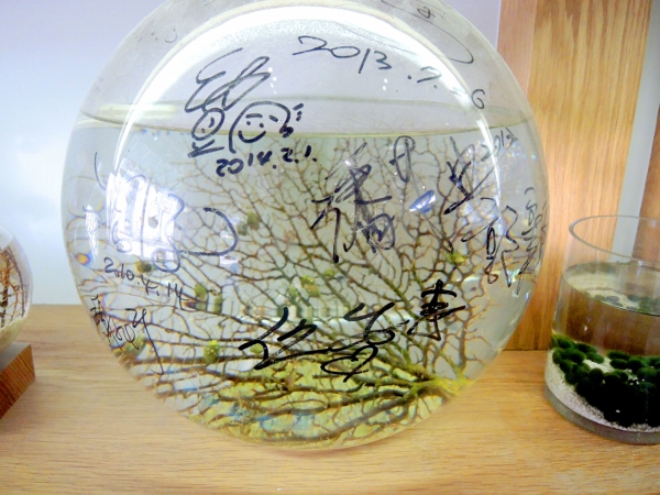 宜蘭員山)勝洋休閒農場- 來去宜蘭郊遊吧！(上)