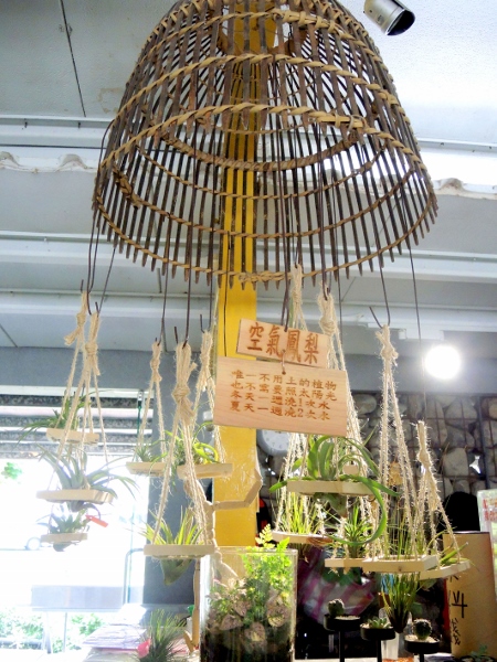 宜蘭員山)勝洋休閒農場- 來去宜蘭郊遊吧！(上)