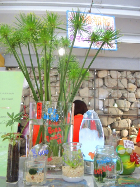 宜蘭員山)勝洋休閒農場- 來去宜蘭郊遊吧！(上)