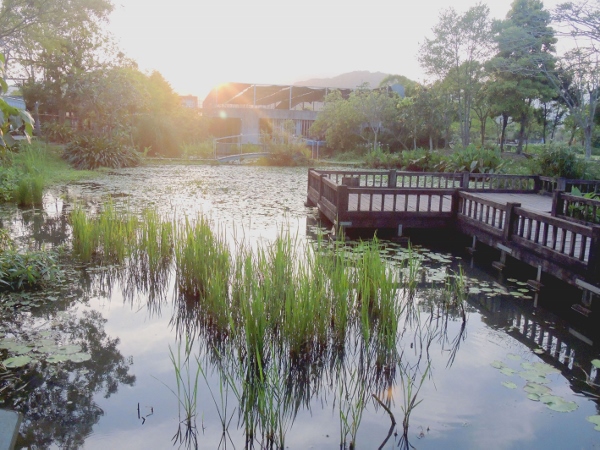 宜蘭員山)勝洋休閒農場- 來去宜蘭郊遊吧！(上)