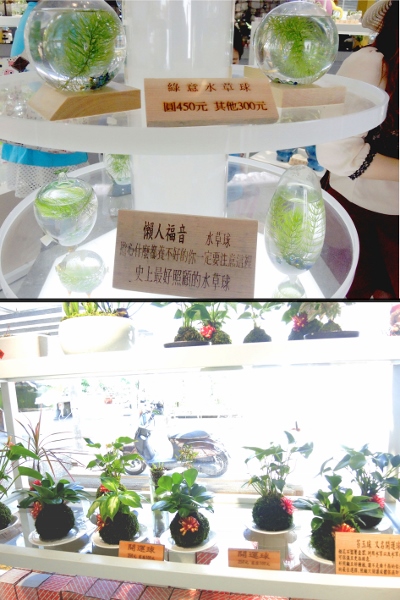 宜蘭員山)勝洋休閒農場- 來去宜蘭郊遊吧！(上)